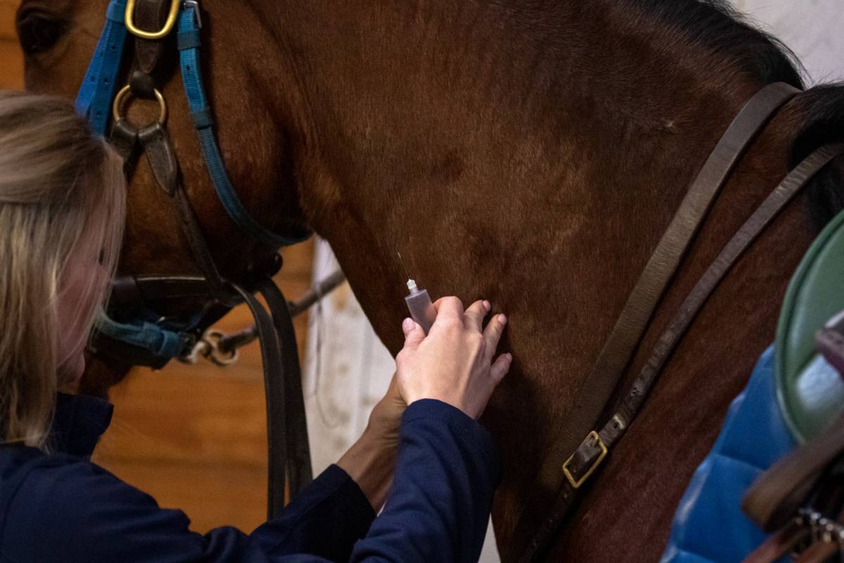 Research_slider_vet_3kx2k 1200x800