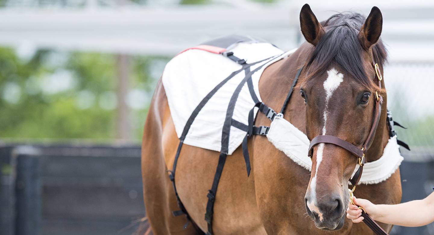 homepage_hero_1440x780