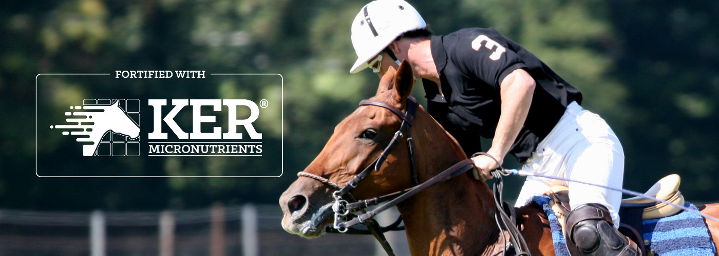 banner performance-caballo-v92