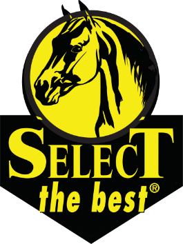 STB Horse-logo-3x4-2