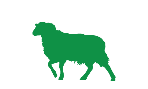 oveja icon